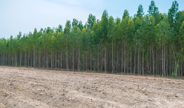 Prancheta-6-copiar-5-2-1 (1)